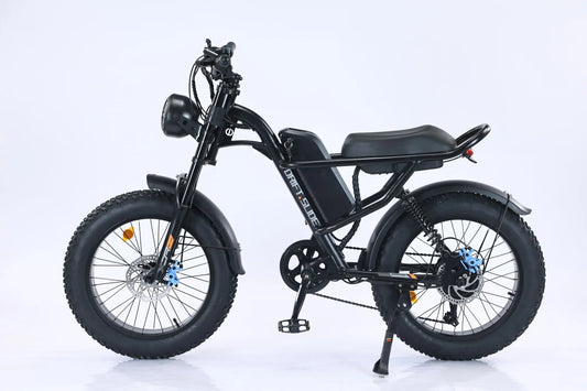 Adult, EMB009 New Design 750W Mountain Electric Bicycle Out Door With Fat Tire 20''Ebike (Black) Doba