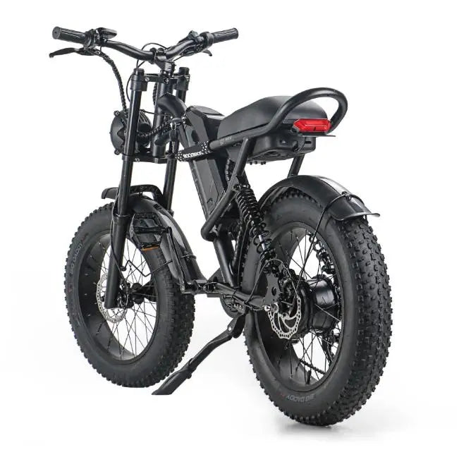 Adult, EMB009 New Design 750W Mountain Electric Bicycle Out Door With Fat Tire 20''Ebike (Black) Doba