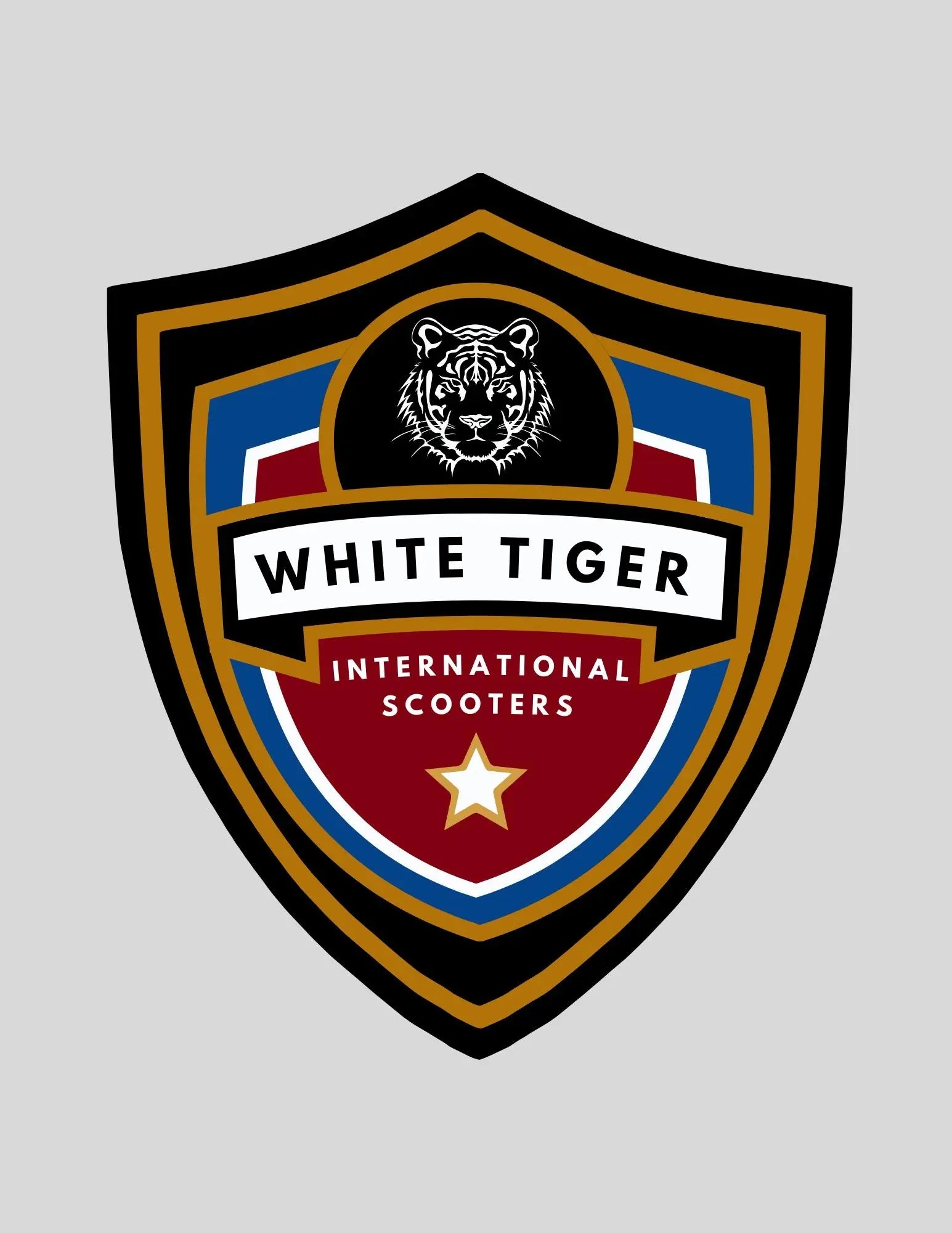 White Tiger International Scooters Future Project and Designs White Tiger International Scooters